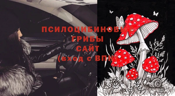 spice Баксан