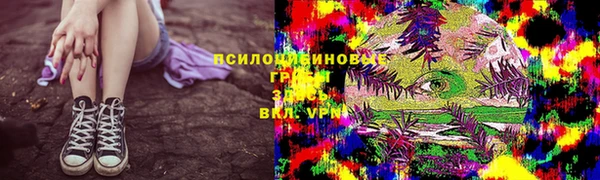 spice Баксан