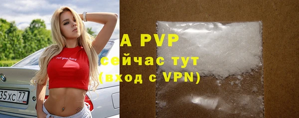 spice Баксан