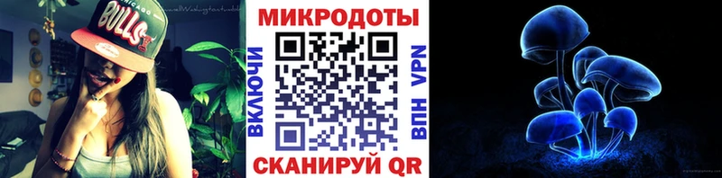 где продают наркотики  Шагонар  гидра ONION  Псилоцибиновые грибы мицелий 
